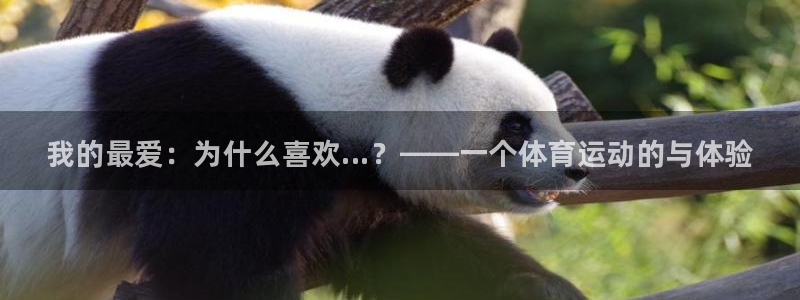一竞技官网下载招商电话是多少啊：我的最爱：为什么喜欢