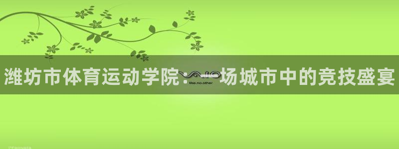一竞技官方正版app集团官网网址：潍坊市体育运动学院