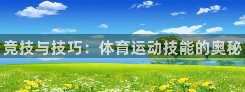一竞技官网下载招商电话地址：竞技与技巧：体育运动技能