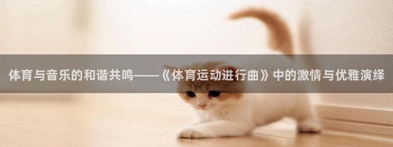 一竞技官方正版app娱乐首页网站大全：体育与音乐的和