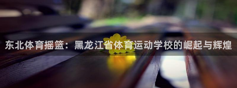 一竞技官网下载开户：东北体育摇篮：黑龙江省体育运动学