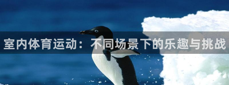一竞技官方正版app娱乐首页网站大全：室内体育运动：