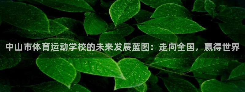 海南一竞技官网下载：中山市体育运动学校的未来发展蓝图