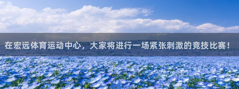 一竞技官方正版app集团简介：在宏远体育运动中心，大