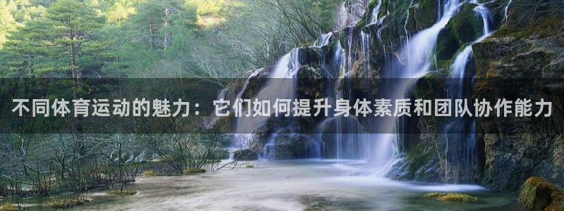 一竞技官方正版app集团E.ON：不同体育运动的魅力