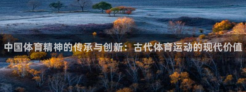 一竞技官网下载官方客服电话：中国体育精神的传承与创新