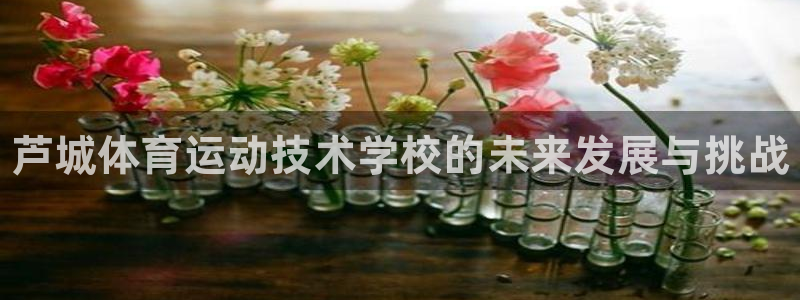 一竞技官方正版app娱乐平台：芦城体育运动技术学校的未来发展