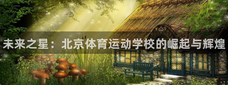 一竞技官方正版app神州
