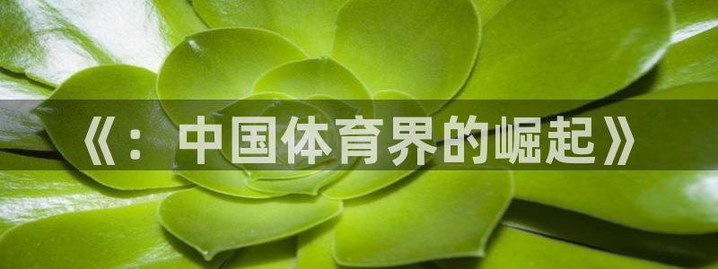 一竞技官网下载招商电话号码查询