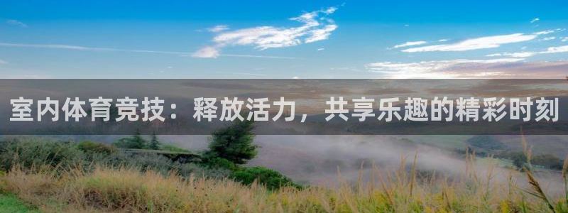 一竞技官网下载是干嘛的公司：室内体育竞技：释放活力，