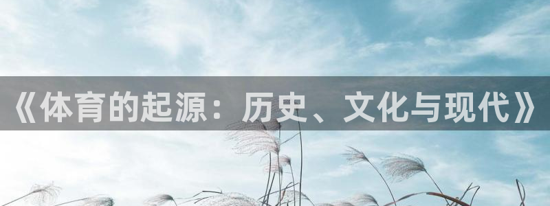 一竞技官方正版app开户