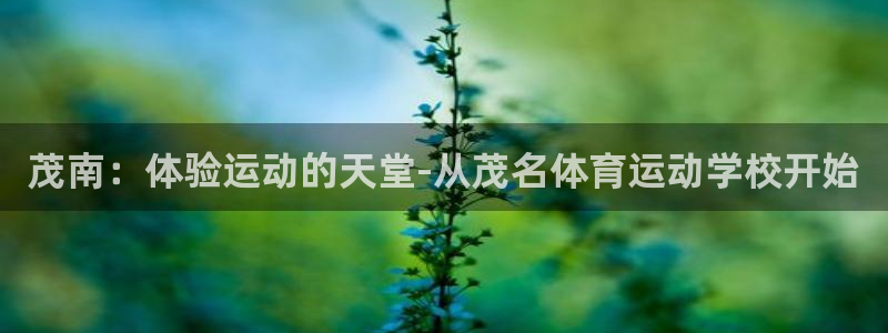 一竞技官网下载招商电话是多少号码：茂南：体验运动的天堂-从茂
