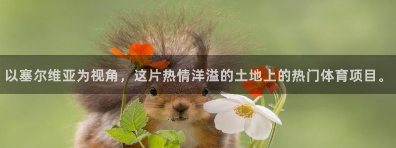 一竞技官方正版app娱乐代理怎么样：以塞尔维亚为视角，这片热
