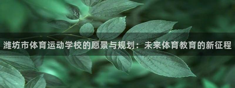 一竞技官网下载：潍坊市体育运动学校的愿景与规划：未来体育教育