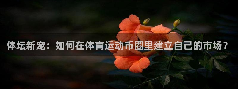 一竞技官网下载平台注册流程图：体坛新宠：如何在体育运动币圈里