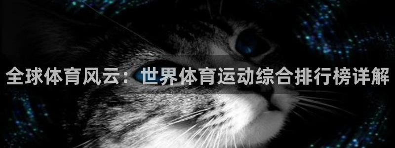 一竞技官方正版app集团：全球体育风云：世界体育运动综合排行