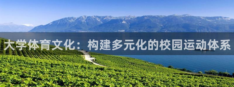 一竞技官方正版app娱乐平台：大学体育文化：构建多元化的校园