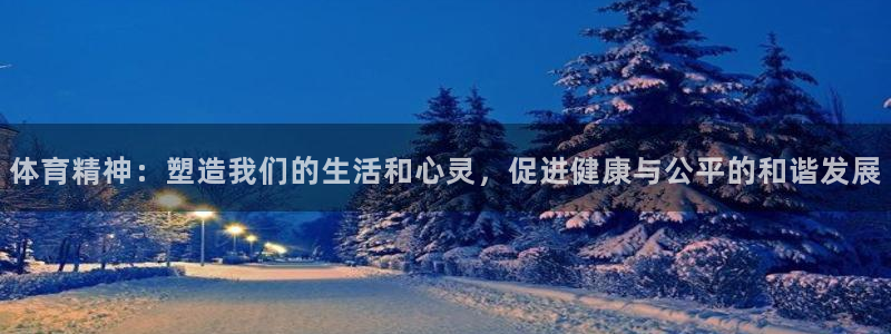 一竞技官方正版app神州