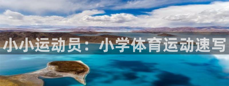 一竞技官方正版app娱乐40996：小小运动员：小学体育运动