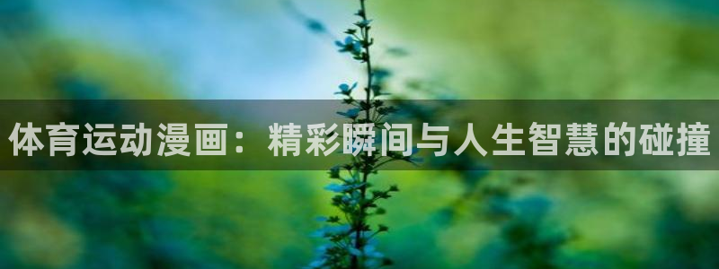 一竞技官方正版app娱乐平台：体育运动漫画：精彩瞬间与人生智