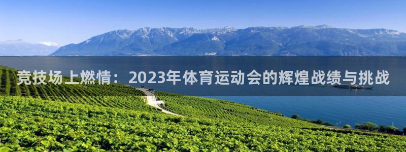 一竞技官方正版app代理：竞技场上燃情：2023年体育运动会