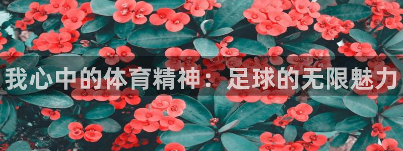一竞技官方正版app官方