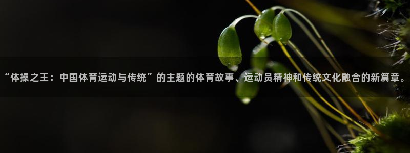 一竞技官方正版app官网：“体操之王：中国体育运动与传统”的