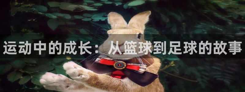 一竞技官方正版app集团简介：运动中的成长：从篮球到足球的故