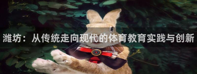 一竞技官方正版app娱乐网站