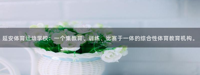 一竞技官方正版app集团E.ON：延安体育运动学校：