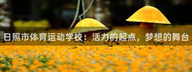 一竞技官方正版app娱乐代理怎么样:日照市体育运动学校:活力